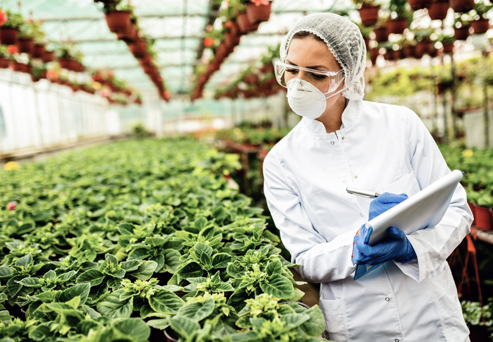 AGRICULTORES SOLICITAN PERSONAL | +100 plademallorca | CON Y SIN EXPERIENCIA